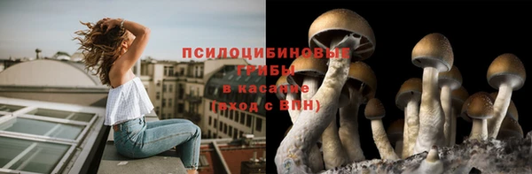 таблы Заволжск