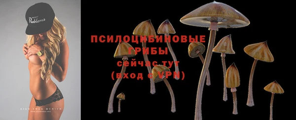 синтетический гашиш Заволжье