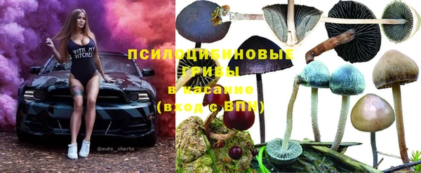 apvp Елабуга