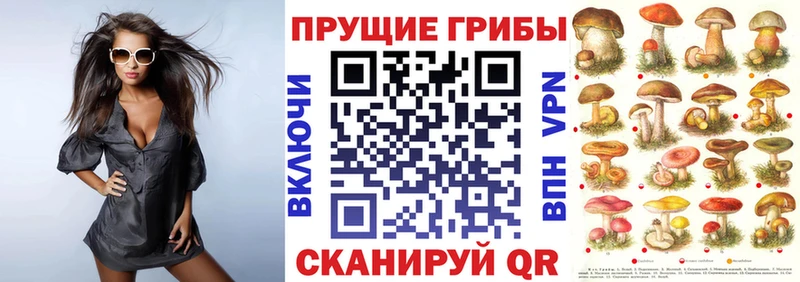 Галлюциногенные грибы мицелий Истра